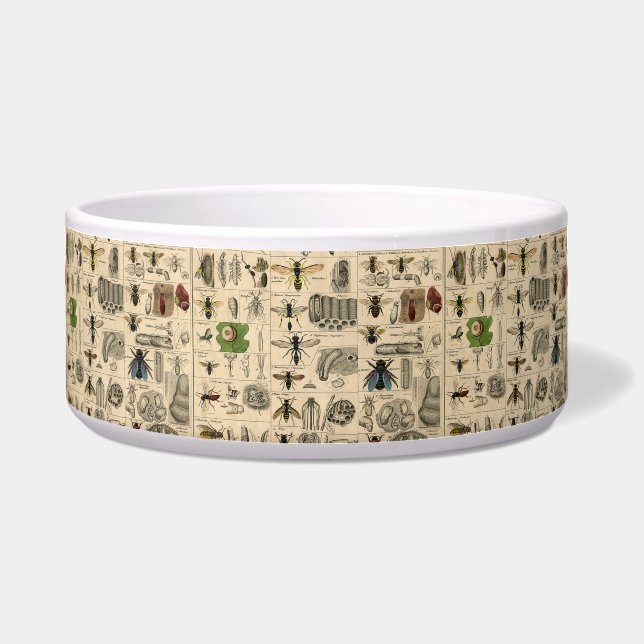 Bee Insect Bug Wasp Natural Nature Bees Painting (Front)