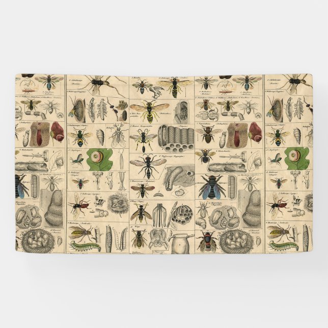 Bee Insect Bug Wasp Natural Nature Bees Painting Banner (Horizontal)
