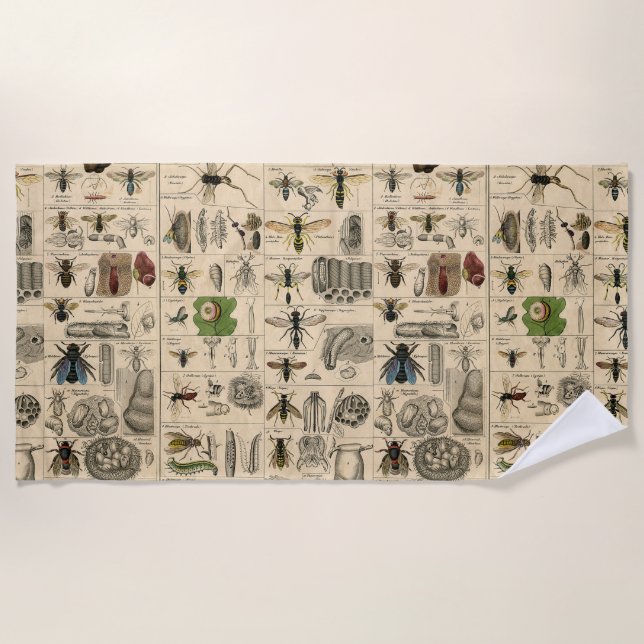 Bee Insect Bug Wasp Natural Nature Bees Painting Beach Towel (Front)