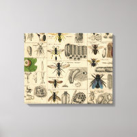 Bee Insect Bug Wasp Natural Nature Bees Painting