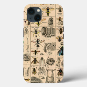Bee Insect Bug Wasp Natural Nature Bees Painting iPhone 13 Case