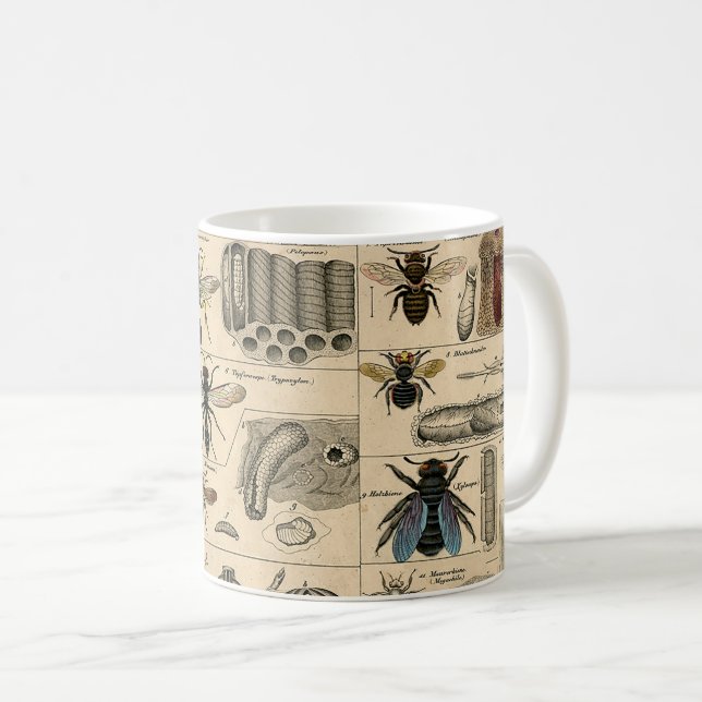 Bee Insect Bug Wasp Natural Nature Bees Painting Coffee Mug (Front Right)