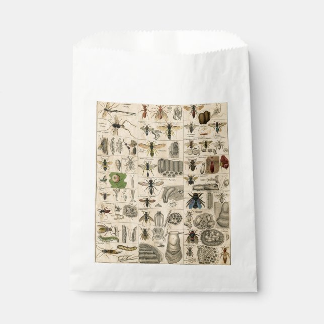Bee Insect Bug Wasp Natural Nature Bees Painting Favour Bags (Front)