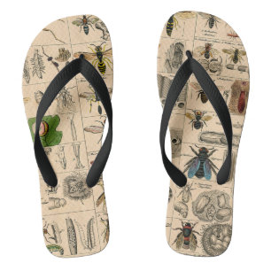 Bee Insect Bug Wasp Natural Nature Bees Painting Flip Flops