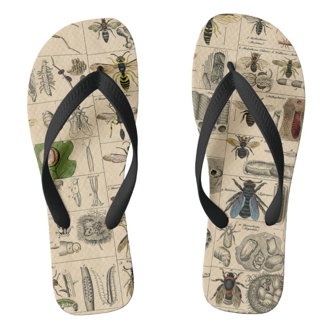 Bee Insect Bug Wasp Natural Nature Bees Painting Flip Flops (Footbed)