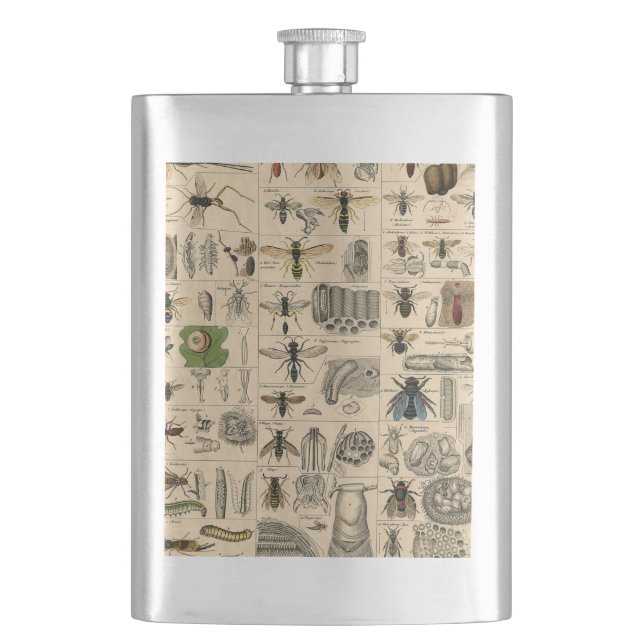 Bee Insect Bug Wasp Natural Nature Bees Painting Hip Flask (Front)