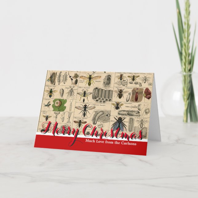 Bee Insect Bug Wasp Natural Nature Bees Painting Holiday Card (Front)