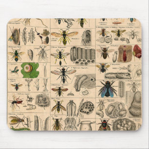 Bee Insect Bug Wasp Natural Nature Bees Painting Mouse Mat