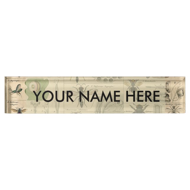 Bee Insect Bug Wasp Natural Nature Bees Painting Nameplate (Front)