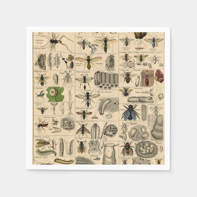 Bee Insect Bug Wasp Natural Nature Bees Painting Napkin (Front)