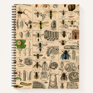 Bee Insect Bug Wasp Natural Nature Bees Painting Notebook