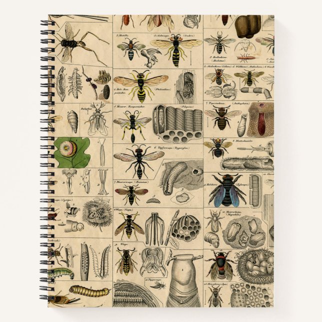 Bee Insect Bug Wasp Natural Nature Bees Painting Notebook (Front)