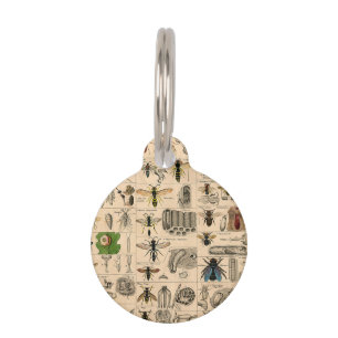 Bee Insect Bug Wasp Natural Nature Bees Painting Pet Tag