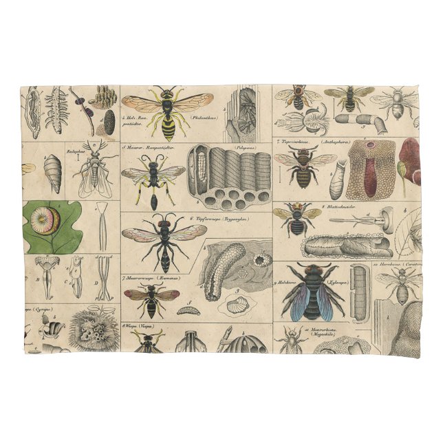 Bee Insect Bug Wasp Natural Nature Bees Painting Pillowcase (Front)