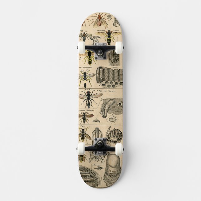 Bee Insect Bug Wasp Natural Nature Bees Painting Skateboard (Front)