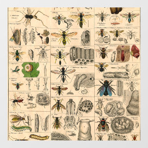 Bee Insect Bug Wasp Natural Nature Bees Painting Window Cling