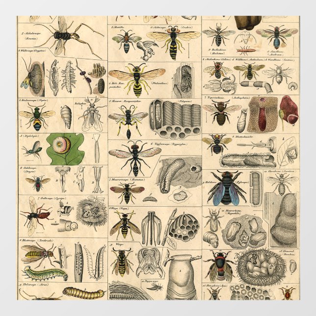 Bee Insect Bug Wasp Natural Nature Bees Painting Window Cling (Sheet)