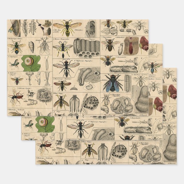 Bee Insect Bug Wasp Natural Nature Bees Painting Wrapping Paper Sheet (Set)
