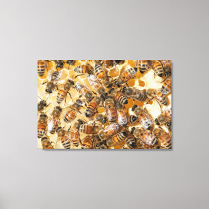 Bee keeping at Arlo's Honey Farm Canvas Print