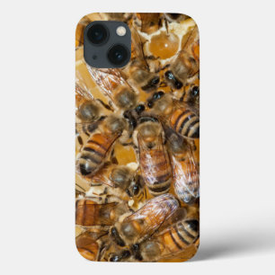 Bee keeping at Arlo's Honey Farm iPhone 13 Case