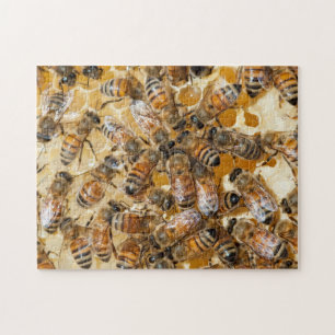 Bee keeping at Arlo's Honey Farm Jigsaw Puzzle