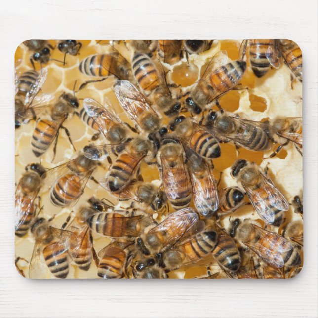 Bee keeping at Arlo's Honey Farm Mouse Mat (Front)