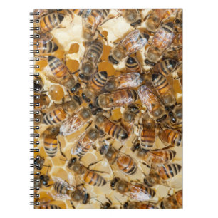 Bee keeping at Arlo's Honey Farm Notebook