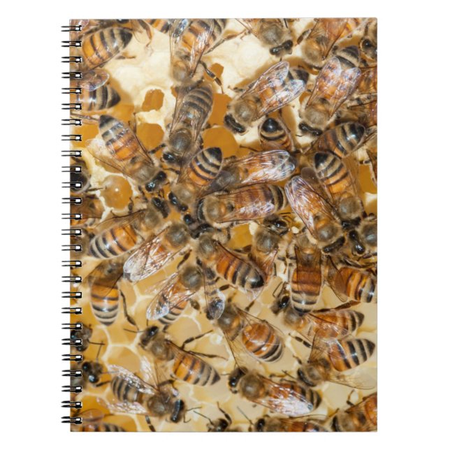 Bee keeping at Arlo's Honey Farm Notebook (Front)