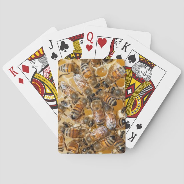 Bee keeping at Arlo's Honey Farm Playing Cards (Back)