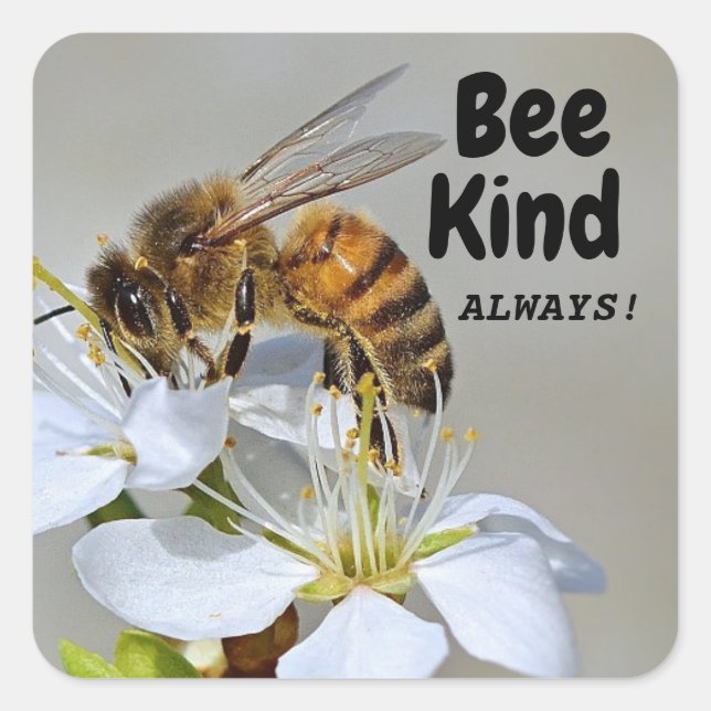 Bee Kind Always! Square Sticker (Front)
