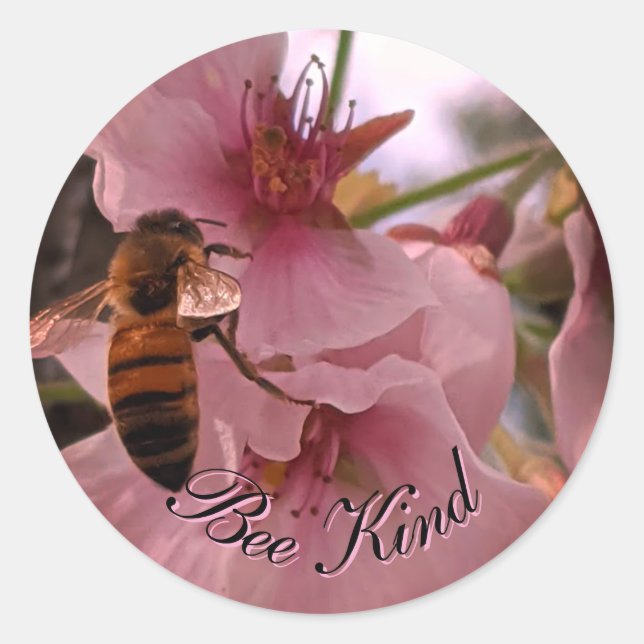 Bee kind stickers (Front)