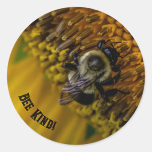 Bee Kind Stickers