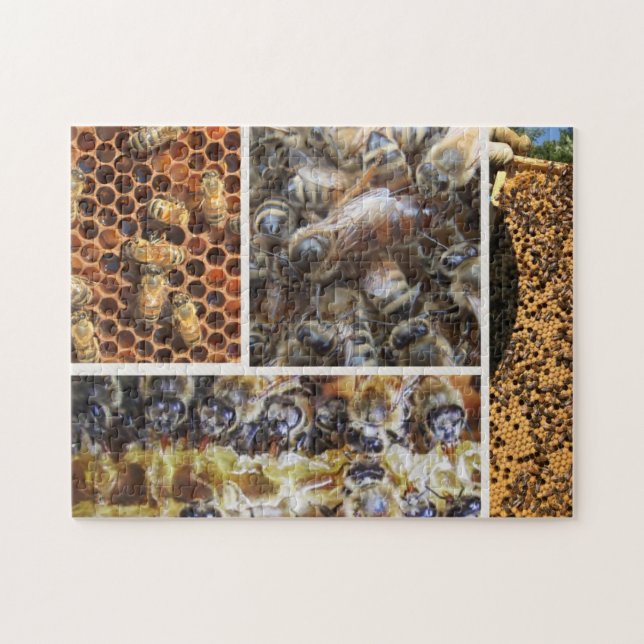 Bee Life Puzzle (Horizontal)