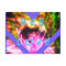 BEE LOVE  POSTCARD