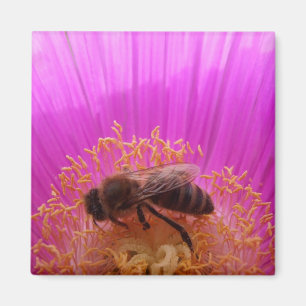 Bee Magnet