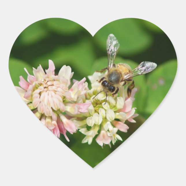 BEE MINE Bumble Bee 4 Leaf Clover Honey Flowers  Heart Sticker (Front)