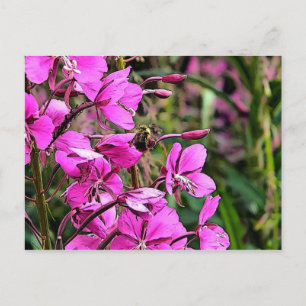 Bee Nice Postcard