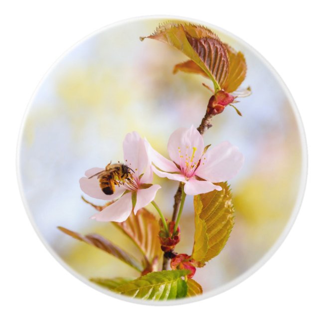 Bee On A Cherry Flower Ceramic Knob (Front)