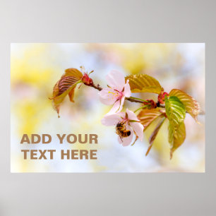 Bee On A Cherry Flower Poster