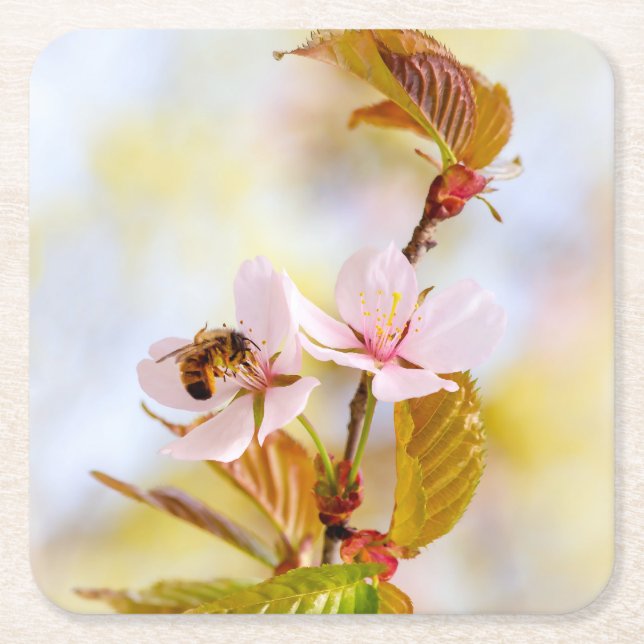Bee On A Cherry Flower Square Paper Coaster (Front)