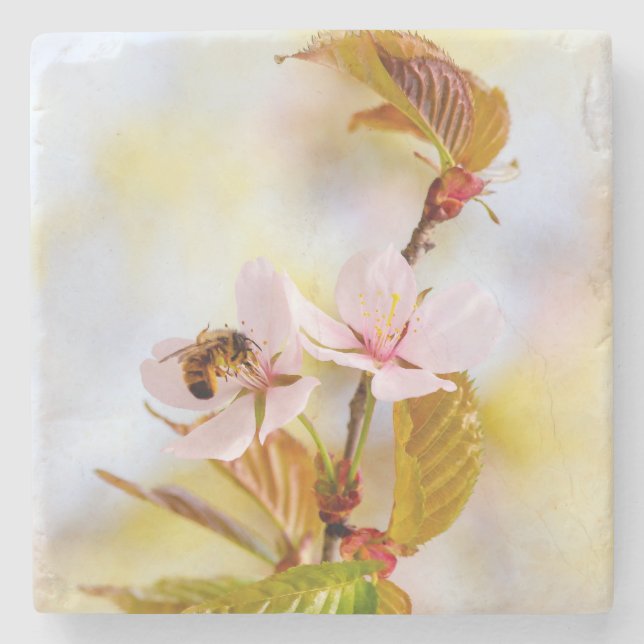 Bee On A Cherry Flower Stone Coaster (Front)