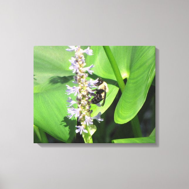 Bee on a Flower Canvas Print (Front)