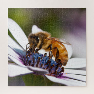 Bee on a Flower Jigsaw Puzzle