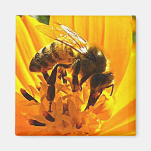 Bee on a Flower Magnet