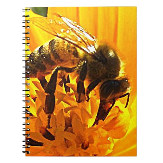 Bee on a Flower Notebook (Front)