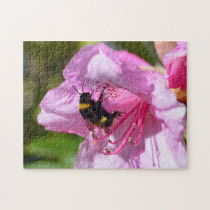 Bee on a Pink Rhododendron Jigsaw Puzzle