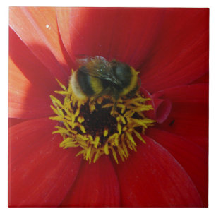 Bee on a red flower ceramic tile