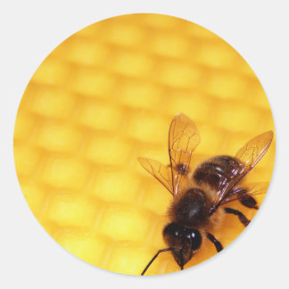 Bee on a wax classic round sticker
