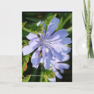 Bee on a Wild Blu Card