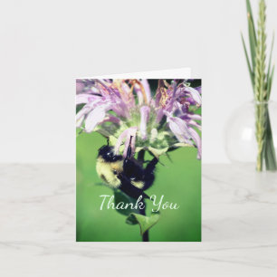 Bee On Bee Balm Flower Thank You Card